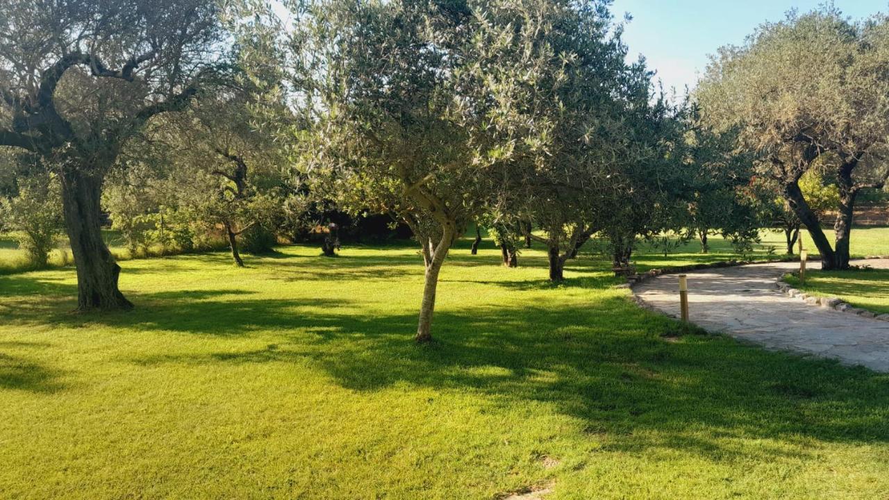 Villa Relax Tra Gli Ulivi 阿尔盖罗 外观 照片